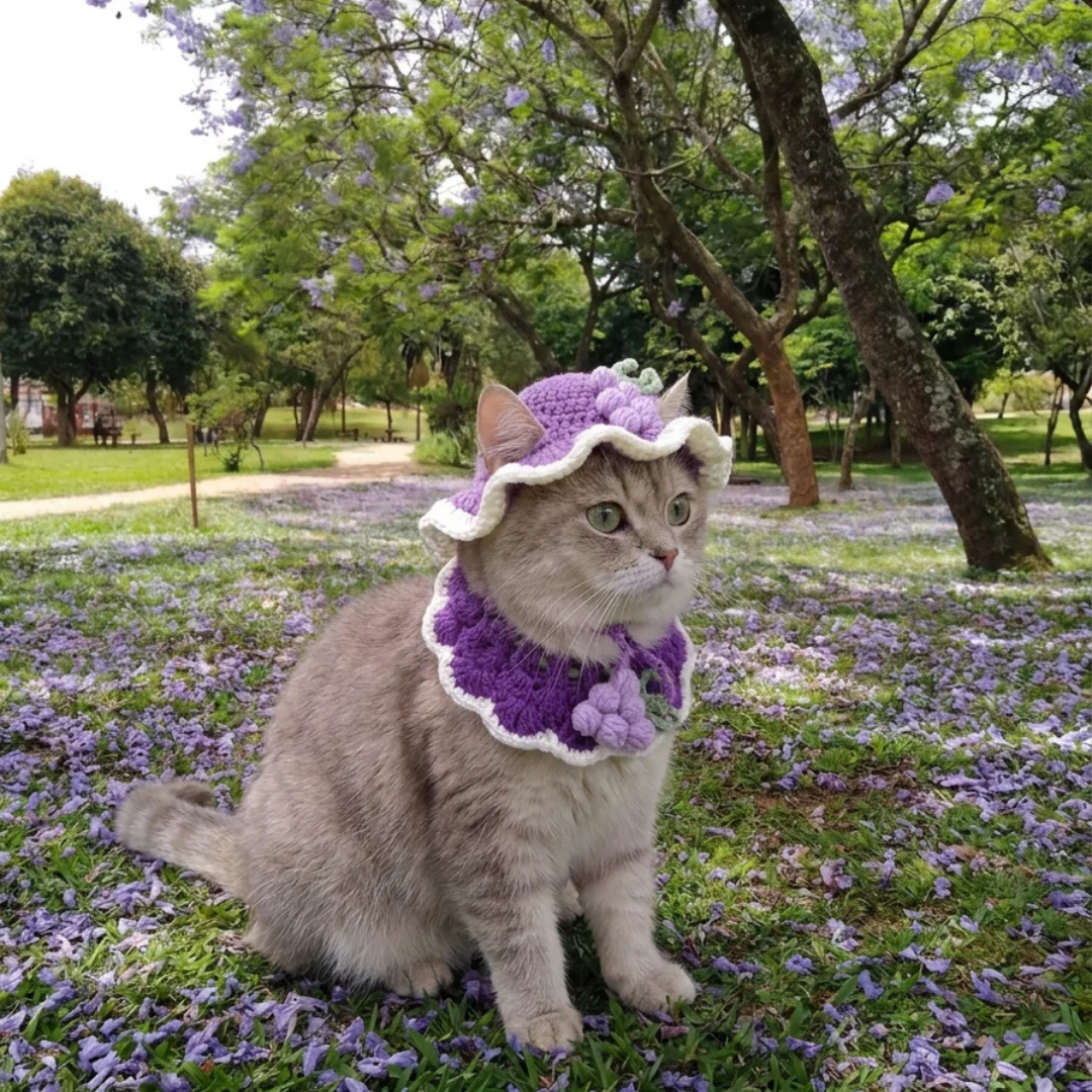 Gorritos de Carmen