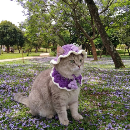 Gorritos de Carmen