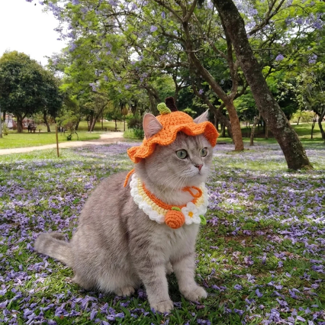 Gorritos de Carmen